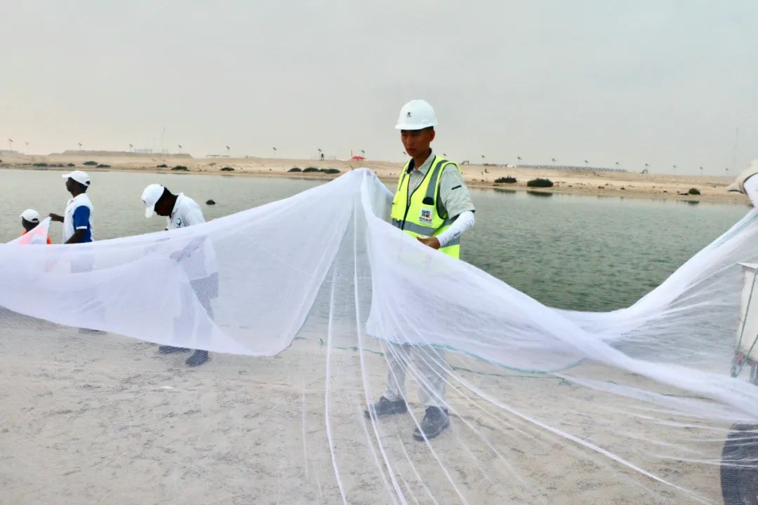 2121非凡·(中国集团)体育官方网站