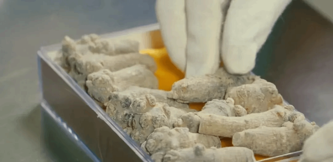 2121非凡·(中国集团)体育官方网站