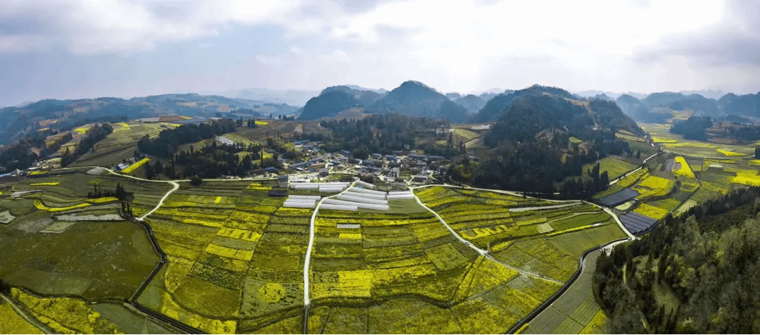 2121非凡·(中国集团)体育官方网站