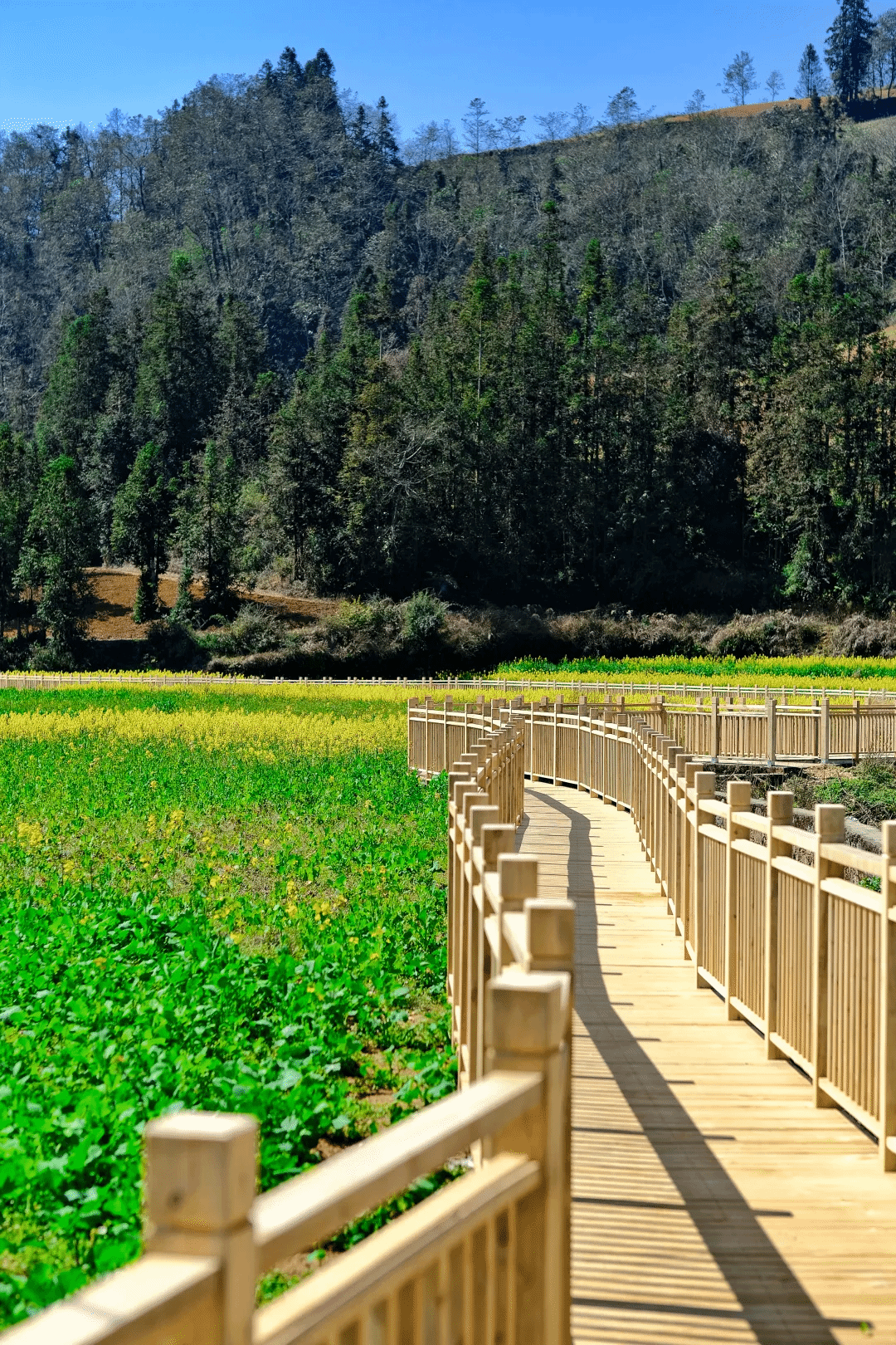 2121非凡·(中国集团)体育官方网站