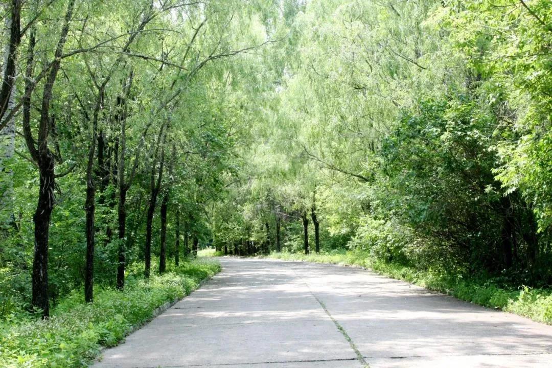 2121非凡·(中国集团)体育官方网站