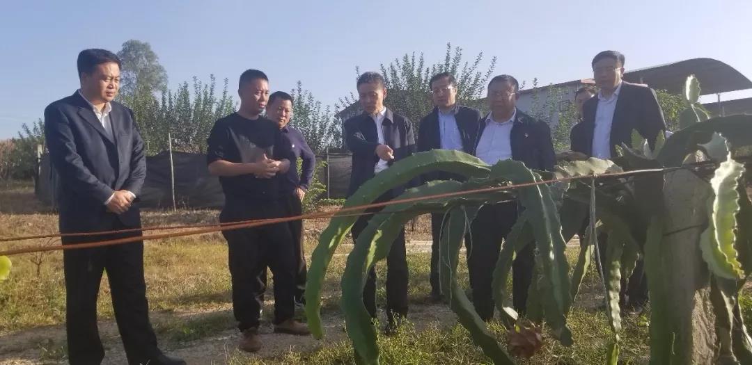 2121非凡·(中国集团)体育官方网站