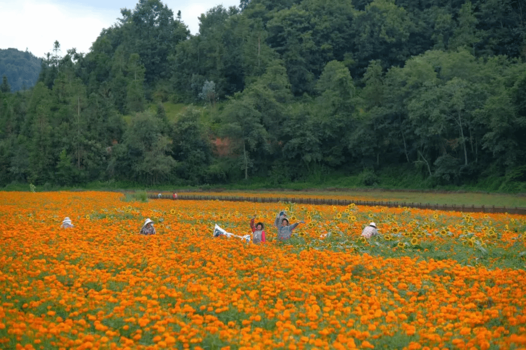 2121非凡·(中国集团)体育官方网站