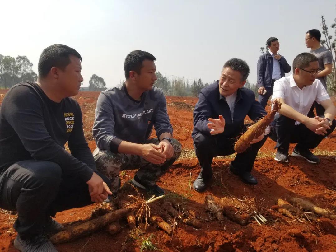 2121非凡·(中国集团)体育官方网站