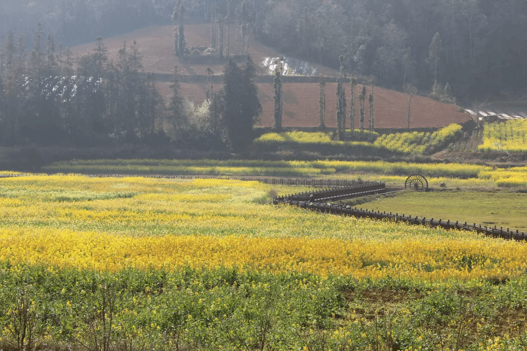 2121非凡·(中国集团)体育官方网站