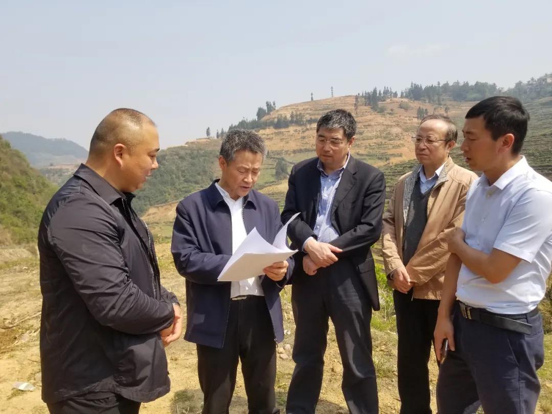 2121非凡·(中国集团)体育官方网站